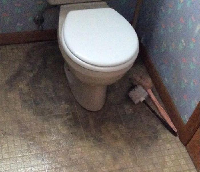 Toilet overflow causing water damage to floor.