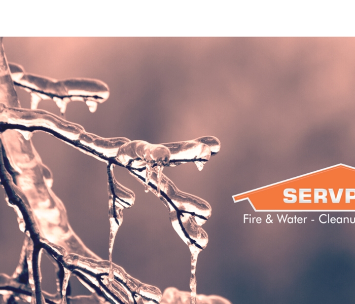 SERVPRO logo with frozen tree branch
