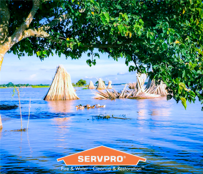 SERVPRO logo with flood in background.