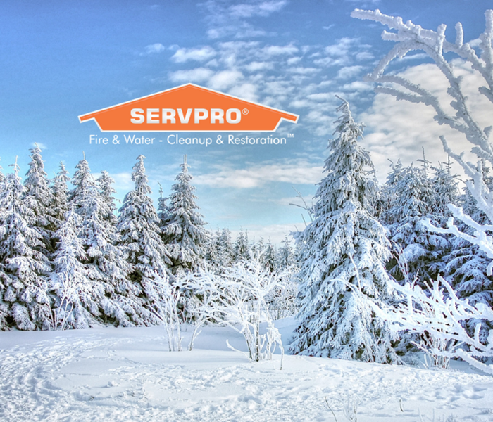 SERVPRO logo with snowy trees and ground
