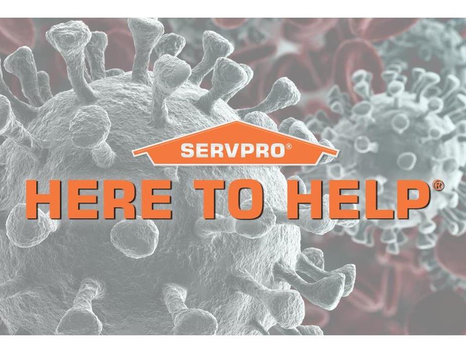 SERVPRO logo with bacteria in background.