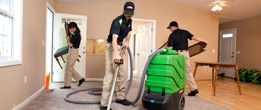 Three Rivers, MI cleaning services